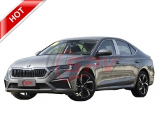 Skoda Octavia Family Car